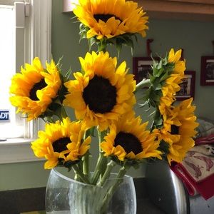 Meet your Posher, Catrina